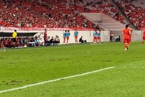 記者：西安這個草坪從美國進口的，奈何西安連日高溫后又連日陰雨