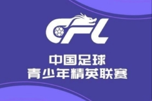 U21聯(lián)賽晉級(jí)組J組第4輪：青島海牛1-1深圳新鵬城 浙江3-0北京國(guó)安