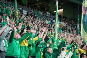 張辛昕談國安亞冠僅2萬多球迷到場：和成績、周中、套票有關(guān)