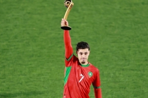 世青賽獎項：瑪瑪金球、扎比里銀球、德爾加多銅球，巴比金手套