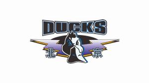 媒體人：北京不再受限于曾凡博是否回歸 將根據(jù)戰(zhàn)術需要選第3外援