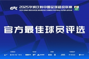 中超第29輪最佳候選：王燊超、鐘義浩、法比奧、澤卡、蘭克爾澤