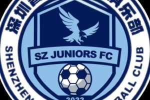 保級生死戰(zhàn)！深圳青年人官方：中甲末輪將開放部分現(xiàn)場觀賽名額