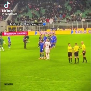 意大利無緣直通！哈蘭德?lián)肀О参筷?duì)友多納魯馬后，才加入挪威慶祝