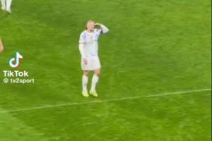 哈式敬禮??哈蘭德慶祝時披頭散發(fā)沖看臺敬禮+惡狠狠點(diǎn)頭