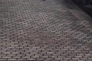 堅(jiān)持多年的訓(xùn)練！名場面：C羅和喬治娜一起到戶外鍛煉！