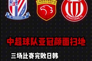 這才是真愛！申花球迷機場接機，并為斯盧茨基獻花