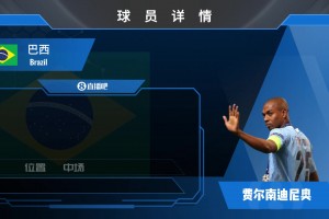 再見(jiàn)費(fèi)鳥(niǎo)!曼城功勛中場(chǎng)費(fèi)爾南迪尼奧宣布退役!欣賞下他的賽場(chǎng)瞬間